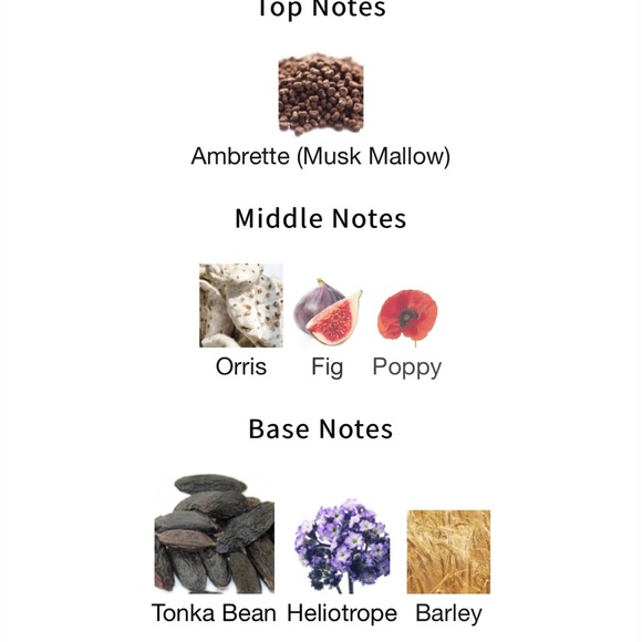 3 ml SAMPLE ONLY Scarlett Poppy by Jo Malone - Picture 4 of 4